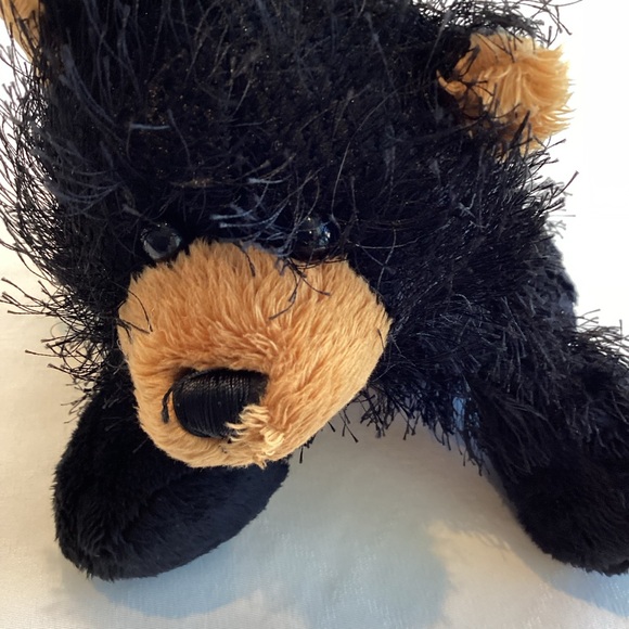 Webkinz Black Bear - Picture 2 of 6